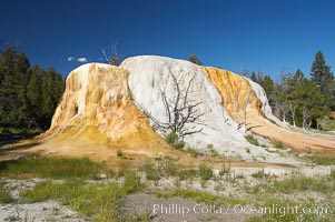 Orange Spring Mound.  Many years of mineral deposition has built up Orange Spring Mound, part of the Mammoth Hot Springs complex, Yellowstone National Park, Wyoming