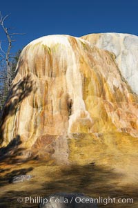 Orange Spring Mound.  Many years of mineral deposition has built up Orange Spring Mound, part of the Mammoth Hot Springs complex, Yellowstone National Park, Wyoming