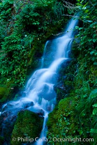 Small waterfall near The Chateau at Oregon Caves National Monument