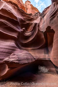 Owl Canyon, a beautiful slot canyon that is part of the larger Antelope Canyon system. Page, Arizona, Navajo Tribal Lands