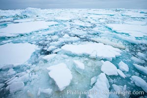 Pack ice and brash ice fills the Weddell Sea, near the Antarctic Peninsula.  This pack ice is a combination of broken pieces of icebergs, sea ice that has formed on the ocean