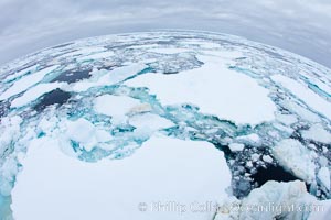 Pack ice and brash ice fills the Weddell Sea, near the Antarctic Peninsula.  This pack ice is a combination of broken pieces of icebergs, sea ice that has formed on the ocean