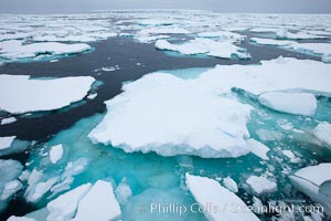 Pack ice, a combination of sea ice and pieces of icebergs, Weddell Sea.