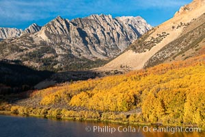 Paiute Peak, Aspen Trees and North Lake, fal colors, Bishop Creek Canyon, Populus tremuloides, Bishop Creek Canyon, Sierra Nevada Mountains