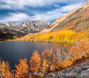 Paiute Peak, Aspen Trees and North Lake, fal colors, Bishop Creek Canyon, Populus tremuloides, Bishop Creek Canyon, Sierra Nevada Mountains