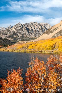 Paiute Peak, Aspen Trees and North Lake, fal colors, Bishop Creek Canyon, Populus tremuloides, Bishop Creek Canyon, Sierra Nevada Mountains