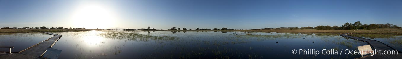 Panorama of a large vernal pool, full of water following spring rains, Santa Rosa Plateau, Santa Rosa Plateau Ecological Reserve, Murrieta, California