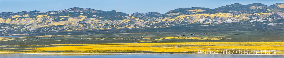 A Panorama of Wildflowers blooms across Carrizo Plains National Monument, during the 2017 Superbloom, Carrizo Plain National Monument, California