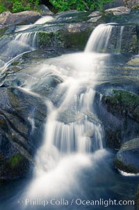 Paradise Falls tumble over rocks in Paradise Creek. Mount Rainier National Park, Washington, USA, natural history stock photograph, photo id 13869