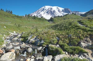 Mount Rainier rises above Edith Creek, Paradise Meadows, Mount Rainier National Park, Washington