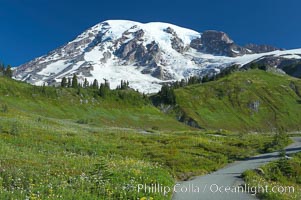 Paradise Meadows and Mount Rainier, summer, Mount Rainier National Park, Washington