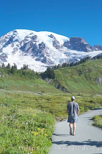 Hiker, Paradise Meadows, Mount Rainier National Park, Washington