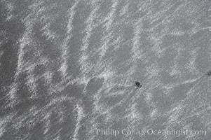 Patterns in the sand, Ruby Beach, Olympic National Park, Washington