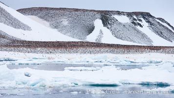 Paulet Island, near the Antarctic Peninsula, is a cinder cone flanks by lava flows on which thousands of Adelie Penguins nest