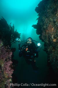 Photographer and reef, Monterey, California