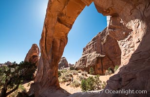 Pine Tree Arch, Arches National Park