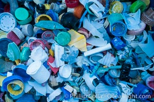 Plastic Debris, Sorted and Cataloged for Study, Clipperton Island