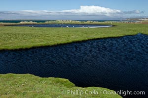 Ponds and grasses, in the interior of Carcass Island near Dyke Bay. Falkland Islands, United Kingdom, natural history stock photograph, photo id 23977