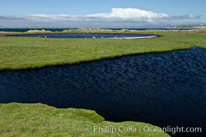 Ponds and grasses, in the interior of Carcass Island near Dyke Bay