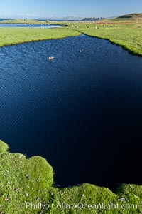 Ponds and grasses, in the interior of Carcass Island near Dyke Bay