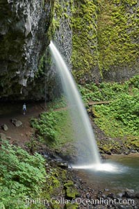 Ponytail Falls, where Horsetail Creeks drops 100 feet over an overhang below which hikers can walk, Columbia River Gorge National Scenic Area, Oregon