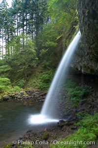 Ponytail Falls, where Horsetail Creeks drops 100 feet over an overhang below which hikers can walk, Columbia River Gorge National Scenic Area, Oregon