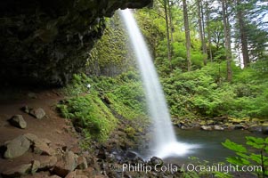 Ponytail Falls, where Horsetail Creeks funnels over an overhang below which hikers can walk, Columbia River Gorge National Scenic Area, Oregon