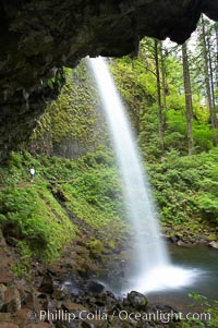 Ponytail Falls, where Horsetail Creeks drops 100 feet over an overhang below which hikers can walk, Columbia River Gorge National Scenic Area, Oregon