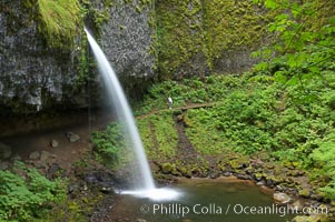 Ponytail Falls, where Horsetail Creeks funnels over an overhang below which hikers can walk, Columbia River Gorge National Scenic Area, Oregon