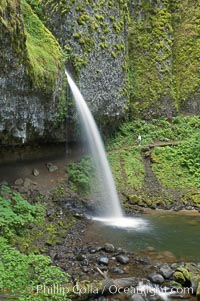 Ponytail Falls, where Horsetail Creeks drops 100 feet over an overhang below which hikers can walk, Columbia River Gorge National Scenic Area, Oregon