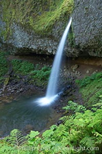 Ponytail Falls, where Horsetail Creeks drops 100 feet over an overhang below which hikers can walk, Columbia River Gorge National Scenic Area, Oregon