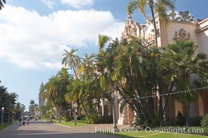 The Prado, or El Prado, the main east-west walkway through the heart of Balboa Park, is named for the Paseo del Prado in Madrid.  Balboa Park, San Diego, California