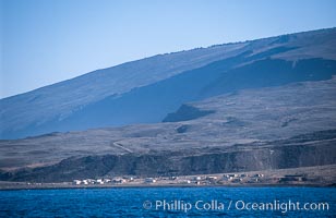 Western Anchorage, Guadalupe Island (Isla Guadalupe)