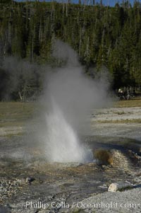 Pump Geyser, Upper Geyser Basin, Yellowstone National Park, Wyoming