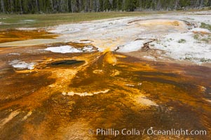 Colorful bacteria mats mark the hot water flowing from Pump Geyser, Upper Geyser Basin, Yellowstone National Park, Wyoming