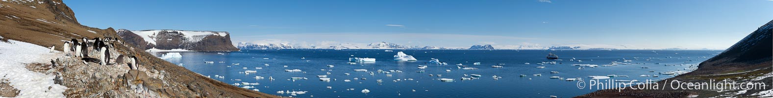 Adelie penguin colony, panoramic photograph, Pygoscelis adeliae, Devil Island