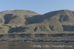 San Clemente Island is used as a US Navy bombing target.  Its offshore kelp forests offer spectacular diving