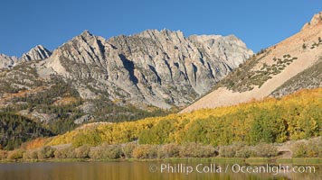 Aspen trees in fall, change in color to yellow, orange and red, reflected in the calm waters of North Lake, Populus tremuloides, Bishop Creek Canyon, Sierra Nevada Mountains