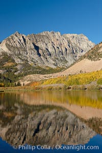 Aspen trees in fall, change in color to yellow, orange and red, reflected in the calm waters of North Lake, Populus tremuloides, Bishop Creek Canyon, Sierra Nevada Mountains