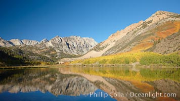 Aspen trees in fall, change in color to yellow, orange and red, reflected in the calm waters of North Lake, Paiute Peak rising to the right, Populus tremuloides, Bishop Creek Canyon, Sierra Nevada Mountains