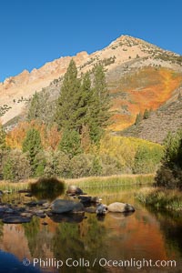Paiute Peak, covered with changing aspen trees in autumn, rises above the calm reflecting waters of North Lake, Populus tremuloides, Bishop Creek Canyon, Sierra Nevada Mountains