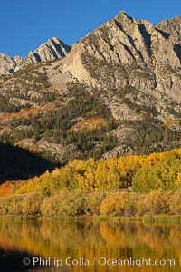 Aspen trees in fall, change in color to yellow, orange and red, reflected in the calm waters of North Lake, Populus tremuloides, Bishop Creek Canyon, Sierra Nevada Mountains