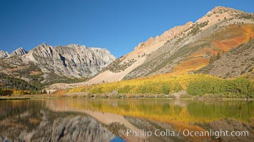 Aspen trees in fall, change in color to yellow, orange and red, reflected in the calm waters of North Lake, Paiute Peak rising to the right, Populus tremuloides, Bishop Creek Canyon, Sierra Nevada Mountains