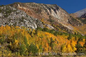 The Hunchback, a peak rising above the South Fork of Bishop Creek Canyon, with yellow and orange aspen trees changing to their fall colors, Populus tremuloides, Bishop Creek Canyon, Sierra Nevada Mountains