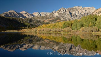 Aspen trees in fall, change in color to yellow, orange and red, reflected in the calm waters of North Lake, Populus tremuloides, Bishop Creek Canyon, Sierra Nevada Mountains