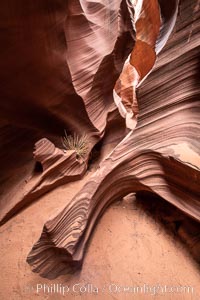 Rattlesnake Canyon, a beautiful slot canyon that is part of the larger Antelope Canyon system. Page, Arizona.