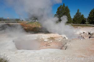 Red Spouter displaying as a fumarole, producing superheated steam.  At other times, Red Spouter may splash with mud or water.  Lower Geyser Basin, Yellowstone National Park, Wyoming