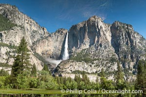 Reflection of Yosemite Falls in Flooded Cooks Meadow. The Merced River overflows its banks following the historical storms of 2023, flooding Yosemite Valley and producing pools that reflect a roaring Upper Yosemite Falls.  This is a reflection, flipped upside down, Yosemite National Park, California