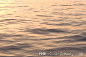 Sunset light is reflected on the placids waters