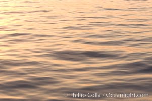 Ocean surface sunset, Bahamas.